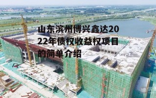 山东滨州博兴鑫达2022年债权收益权项目的简单介绍