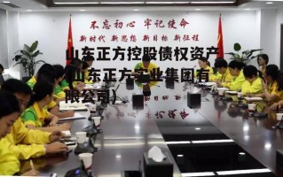 山东正方控股债权资产(山东正方实业集团有限公司)