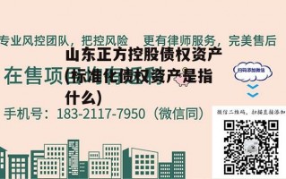 山东正方控股债权资产(标准化债权资产是指什么)