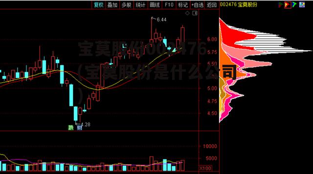 宝莫股份002476(宝莫股份是什么公司)