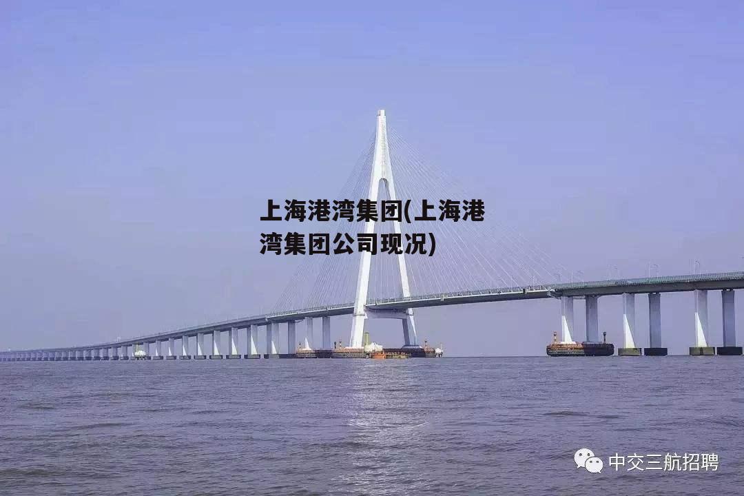 上海港湾集团(上海港湾集团公司现况)-第2张图片-中国政府平台债