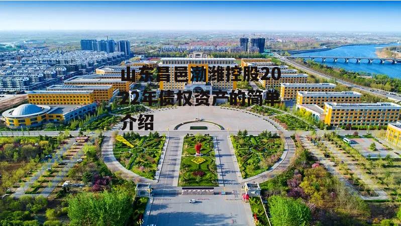 山东昌邑渤潍控股2022年债权资产的简单介绍-第1张图片-中国政府平台债 山东昌邑渤潍控股2022年债权资产的简单介绍-第1张图片-中国政府平台债