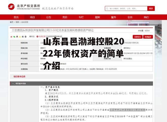 山东昌邑渤潍控股2022年债权资产的简单介绍-第2张图片-中国政府平台债 山东昌邑渤潍控股2022年债权资产的简单介绍-第2张图片-中国政府平台债