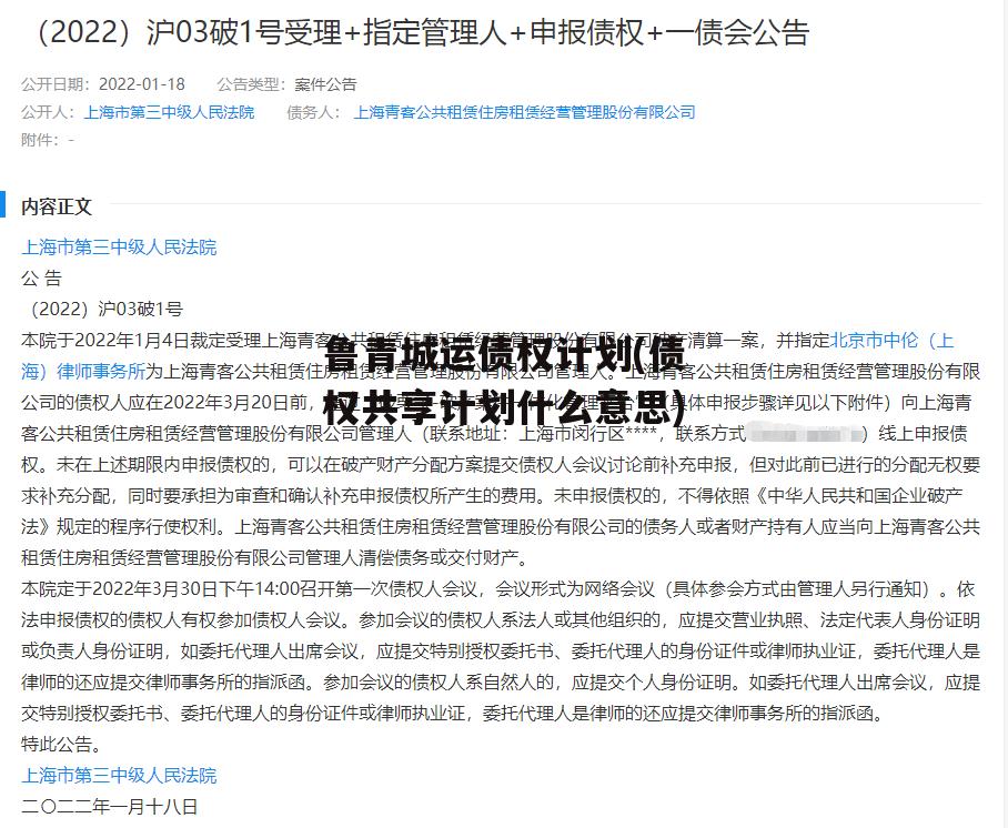 鲁青城运债权计划(债权共享计划什么意思)-第2张图片-中国政府平台债
