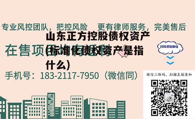 山东正方控股债权资产(标准化债权资产是指什么)