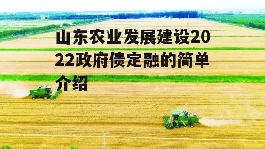 山东农业发展建设2022政府债定融的简单介绍-第2张图片-中国政府平台债