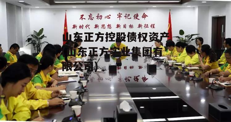 山东正方控股债权资产(山东正方实业集团有限公司)