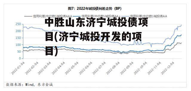 中胜山东济宁城投债项目(济宁城投开发的项目)