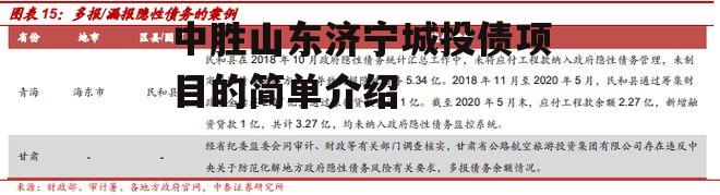中胜山东济宁城投债项目的简单介绍